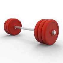 Bodybuilding weights