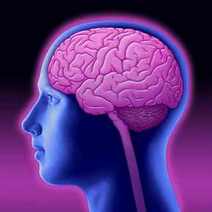  human head with a pink human brain