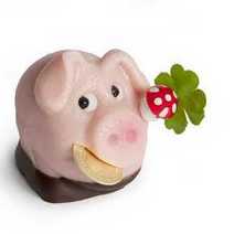 A pig and clover