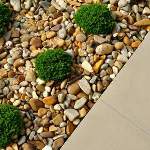 Small stones around small bushes