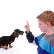 A boy training his dog