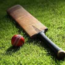 Cricket ball and bat lying on grass