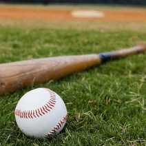 Baseball ball and bat lying on grass