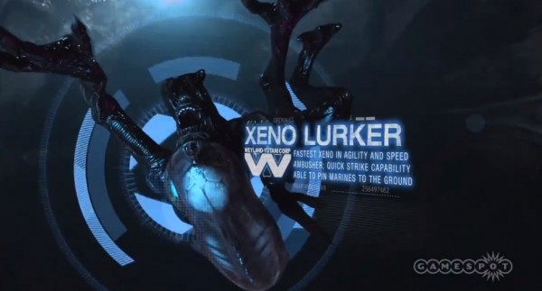 xeno lurker