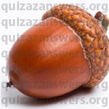 ACORN