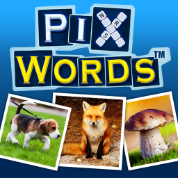 Soluzioni Pixwords