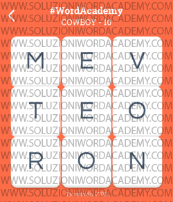 Word Academy Cowboy Livello 10