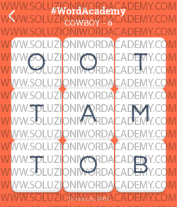 Word Academy Cowboy Livello 6