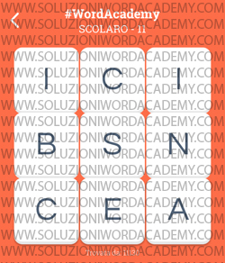 Word Academy Scolaro Livello 11
