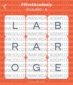 Word Academy Scolaro Livello 8