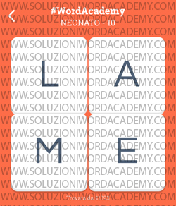 Word Academy Neonato Livello 10