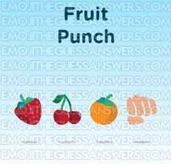 63-FRUIT@PUNCH