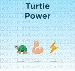 70-TURTLE@POWER