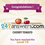 72-CHERRY@TOMATO