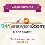 23-BLOOD@ORANGE