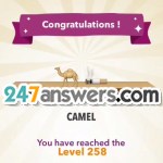 258-CAMEL