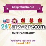 345-AMERICAN@BEAUTY