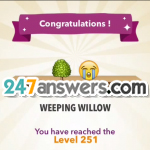 251-WEEPING@WILLOW