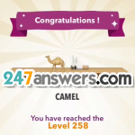 258-CAMEL