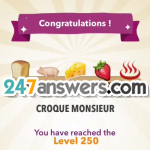 250-CROQUE@MONSIEUR