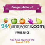 176-FRUIT@JUICE