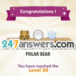 30-POLAR@BEAR