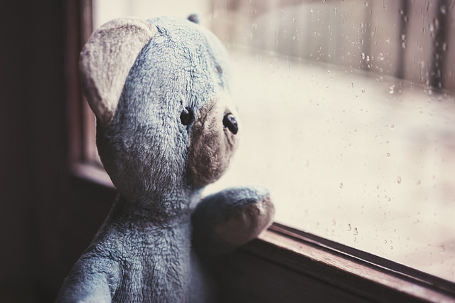 sad-teddy-bear-window