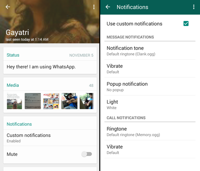 Whatsapp-Custom-notifications