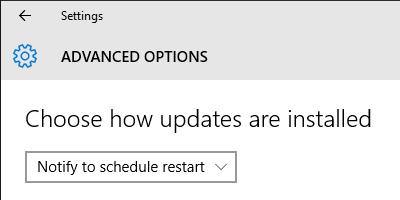 Windows 10 Advanced Windows Update Options
