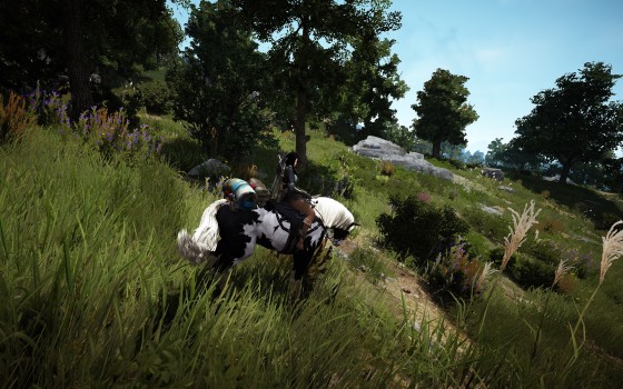 Black Desert Online Horse Storage