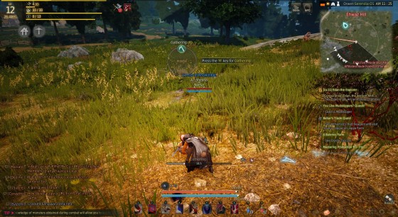 Beginner Crafting Tips For Black Desert Online