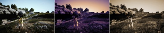 Black Desert Online camera filters