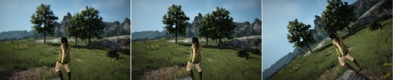 Black Desert Online camera basics